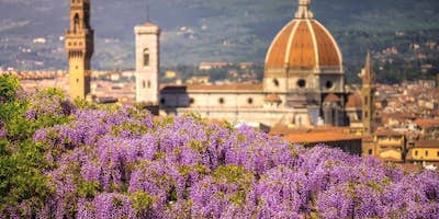 Le più belle fioriture d’Italia: dove ammirarle